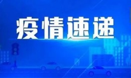 爆料新闻素材视频大全最新,视频素材大全深度解析