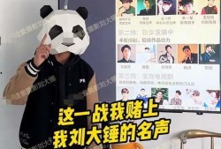 刘大锤爆料时间最新视频,揭秘事件背后惊人真相
